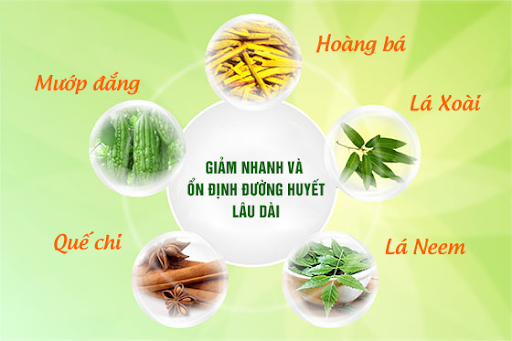 Kết hợp lá Xoài, lá Neem, Quế chi, Hoàng bá, Mướp đắng giúp hạ nhanh và ổn định đường huyết